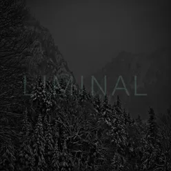 Death Bed Liminal Remix