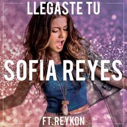 Llegaste tú (feat. Reykon)