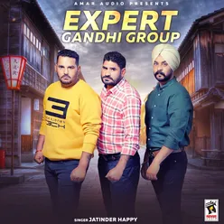 Expert Gandhi Group