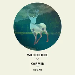 Sugar Wild Culture vs. Karmin;Averro Remix