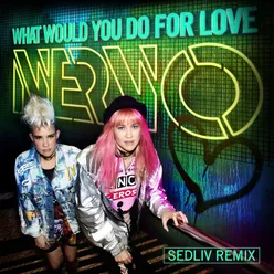 What Would You Do for Love Sedliv Remix