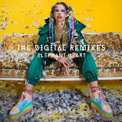 The Digital Steve Aoki Remix
