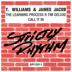 The Learning Process (feat. Tim Deluxe)