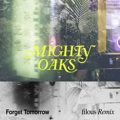 Forget Tomorrow filous Remix