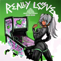 Really Love (feat. R3HAB, Sean Paul, Craig David & Digital Farm Animals) R3HAB Remix