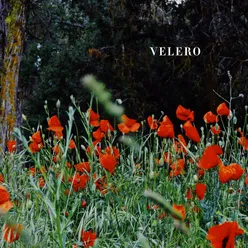 Velero