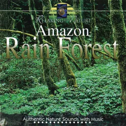 Amazon Rain Forest