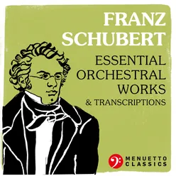 Symphony No. 6 in C Major, D. 589: III. Scherzo. Presto - Piu lento