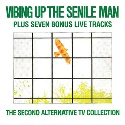 Vibing Up The Senile Man-The 2nd ATV Collection