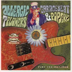 Allergic to Flowers: Garagebeat & Popsike, Pt. 2, 1965-1968
