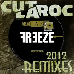 Freeze 2012 Remixes