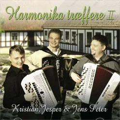 Harmonika Træffere II