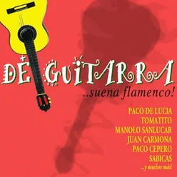 Suite flamenca en re menor