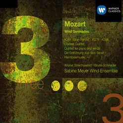 Serenade for Winds No. 12 in C Minor, K. 388 "Nachtmusik": III. (b) Trio in canone al roverscio