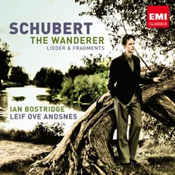 Schubert : Sonata in D Op.53, D850/Lieder