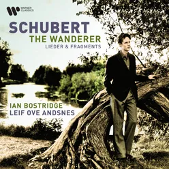Schubert: The Wanderer - Lieder and Fragments