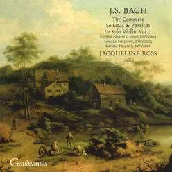 Sonata for violin solo No.3 in C, BWV 1005: III. Largo