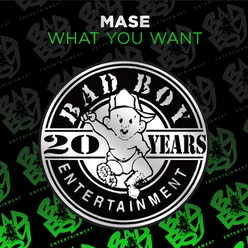 What You Want Instrumental