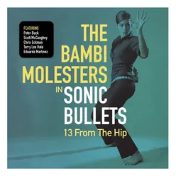 Sonic Bullets:13 From The Hip