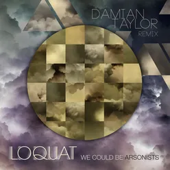 We Could Be Arsonists Damian Taylor Remix - Radio Edit