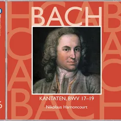 Wer Dank opfert, der preiset mich, BWV 17: No. 5, Aria. "Welch Übermaß der Güte"