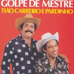 Golpe de Mestre