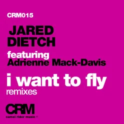 I Want to Fly (feat. Adrienne Mack-Davis) Aron Scott Remix