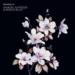 Magnolia