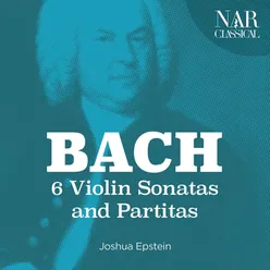 Violin Partita No. 1 in B Minor, BWV 1002: VII. Tempo di Boureé