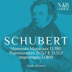 6 Moments musicaux, D. 780: No. 3 in F Minor, Allegro moderato