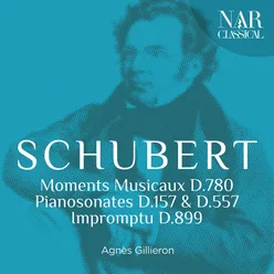 6 Moments musicaux, D. 780: No. 4 in C-Sharp Minor, Moderato