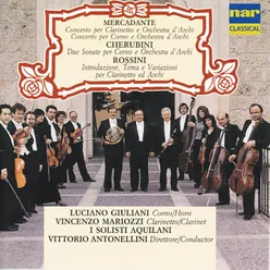 Concerto per corno e orchestra d'archi: I. Larghetto, alla siciliana