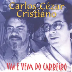 Cavalinho de pau