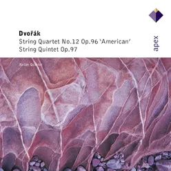 String Quintet in E-Flat Major, Op. 97, B. 180 "American": I. Allegro non tanto