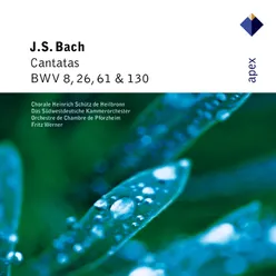 Herr Gott, dich loben alle wir, BWV 130: No. 2, Rezitativ. "Ihr heller Glanz"