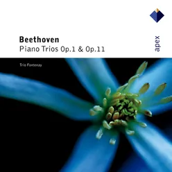 Piano Trio No. 4 in B-Flat Major, Op. 11 "Gassenhauer": II. Adagio