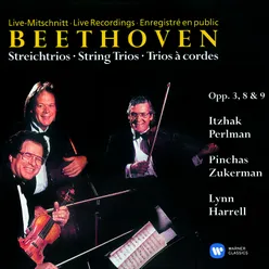 Serenade for String Trio in D Major, Op. 8: V. (e) Variation IV