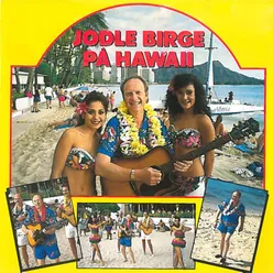 Honolulu Love Song (Waikiki)