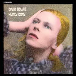 ChangesOneBowie