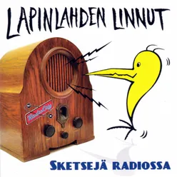 Lapinlahden Lintujen Tampere-tour