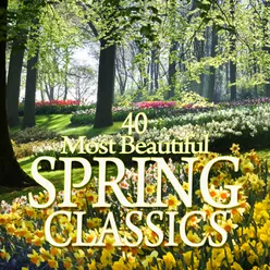 Suite for Violin and String Orchestra in D Minor, Op. 117: II. Evening in Spring