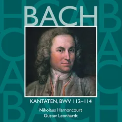 Der Herr ist mein getreuer Hirt, BWV 112: No. 5, Choral. "Gutes und die Barmherzigkeit"