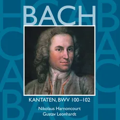 Herr, deine Augen sehen nach dem Glauben, BWV 102: No. 3, Aria. "Weh der Seele"