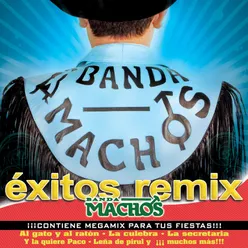 Banda Machos Megamix