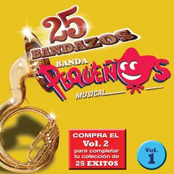 25 Bandazos de Pequeños Musical (Vol. 1) USA