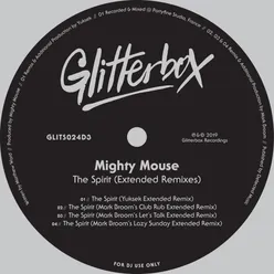 The Spirit (Extended Remixes)