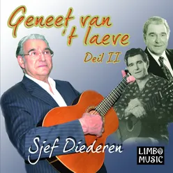 De Mam Sjoenkelt Gaer