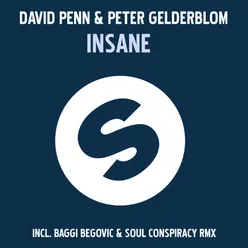 Insane Baggi Begovic & Soul Conspiracy Remix