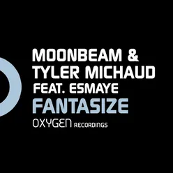 Fantasize (feat. Esmaye) Mat Zo Remix