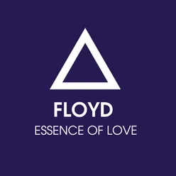 Essence Of Love Remixes